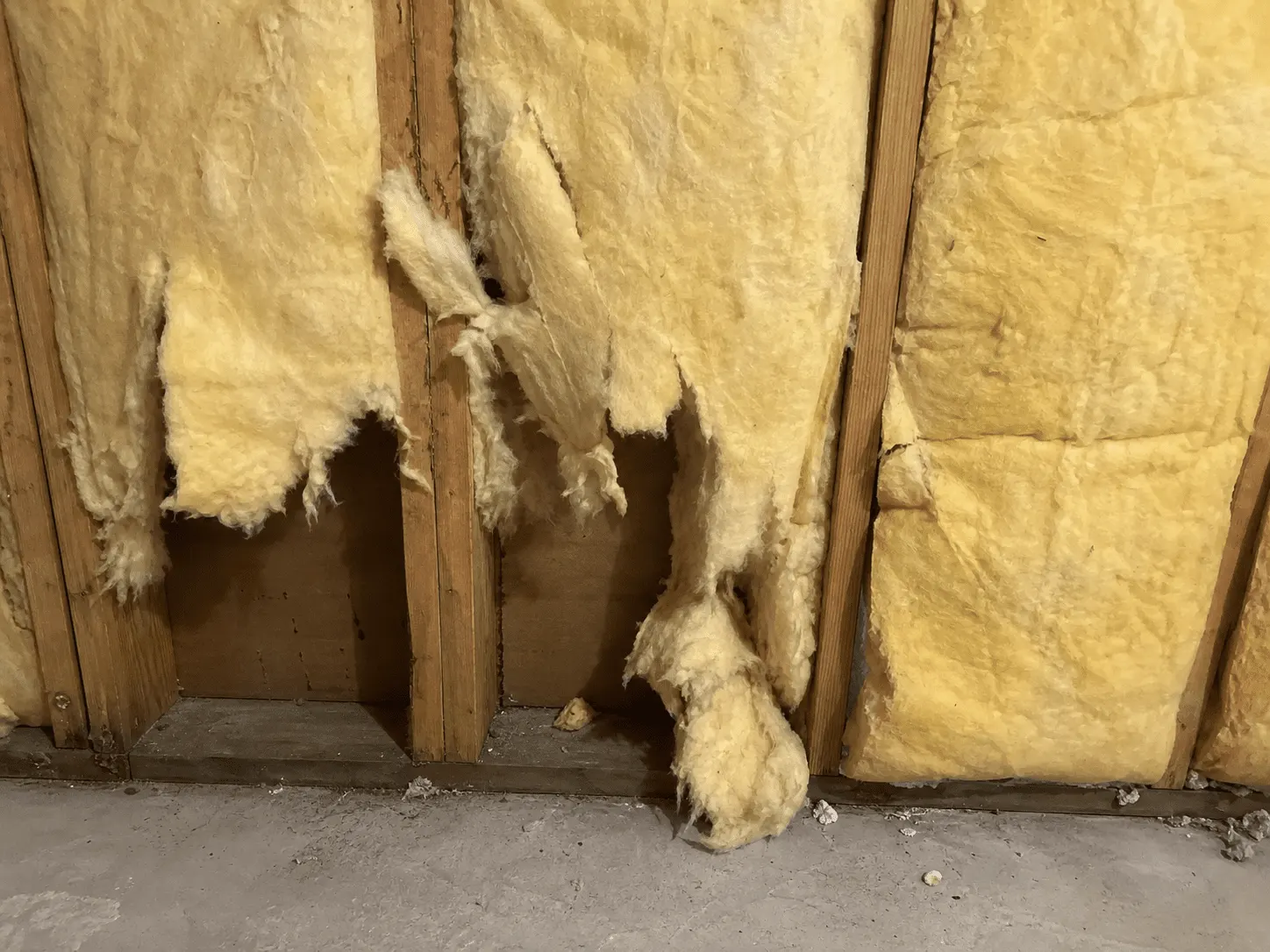 Attic Cleaning and Reconditioning for a Healthier Home