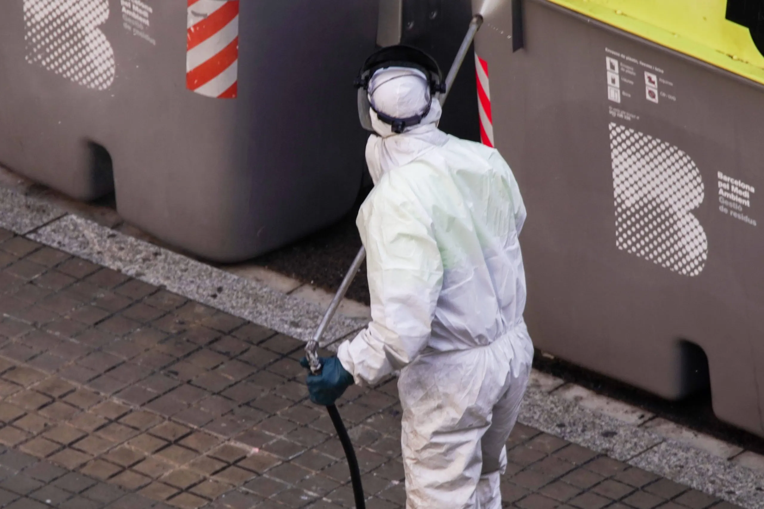 Bay Area Expert Home Rodent Exterminator — Attic Star Bay Area