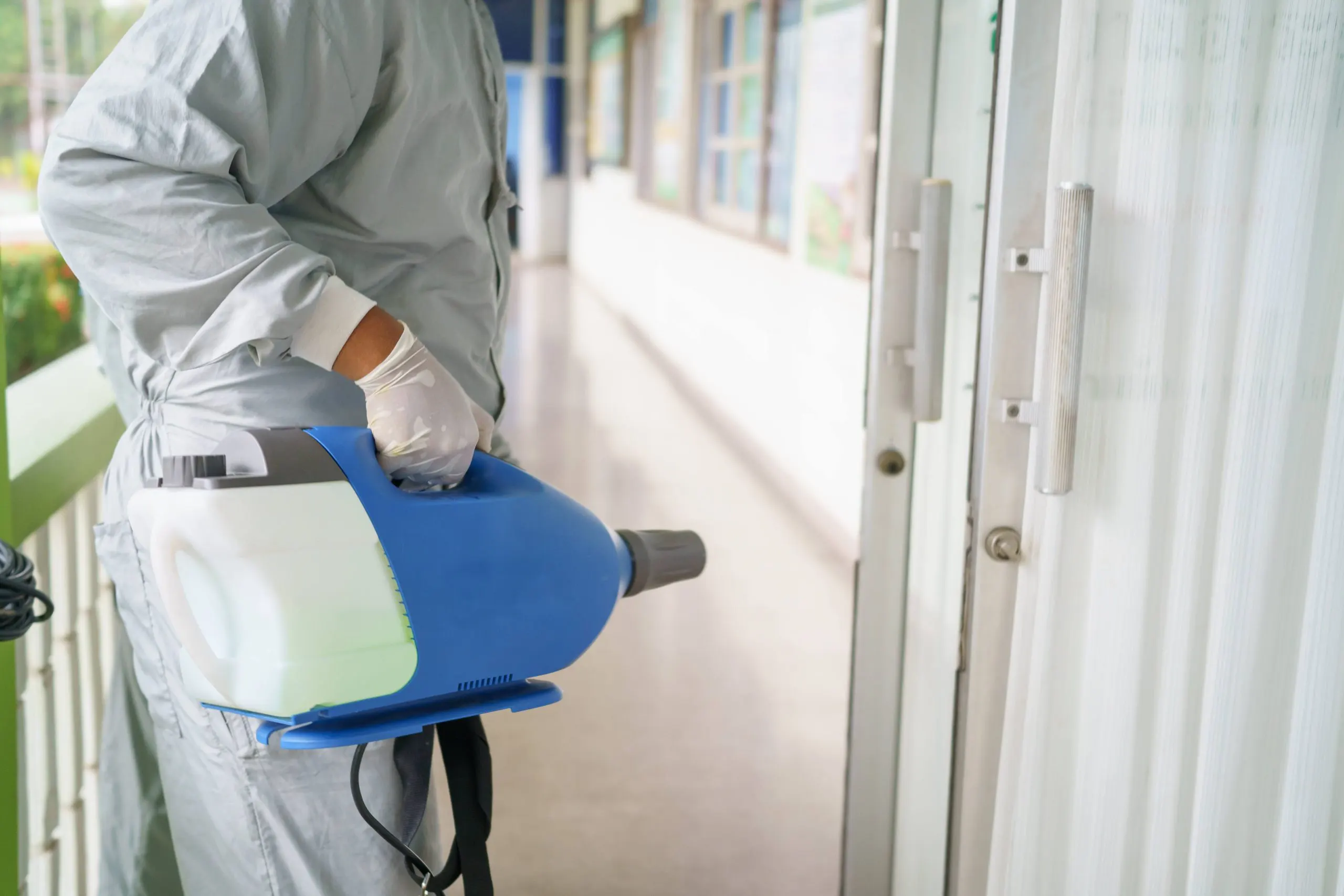 Bay Area Expert Rodent Exterminator — Attic Star Bay Area