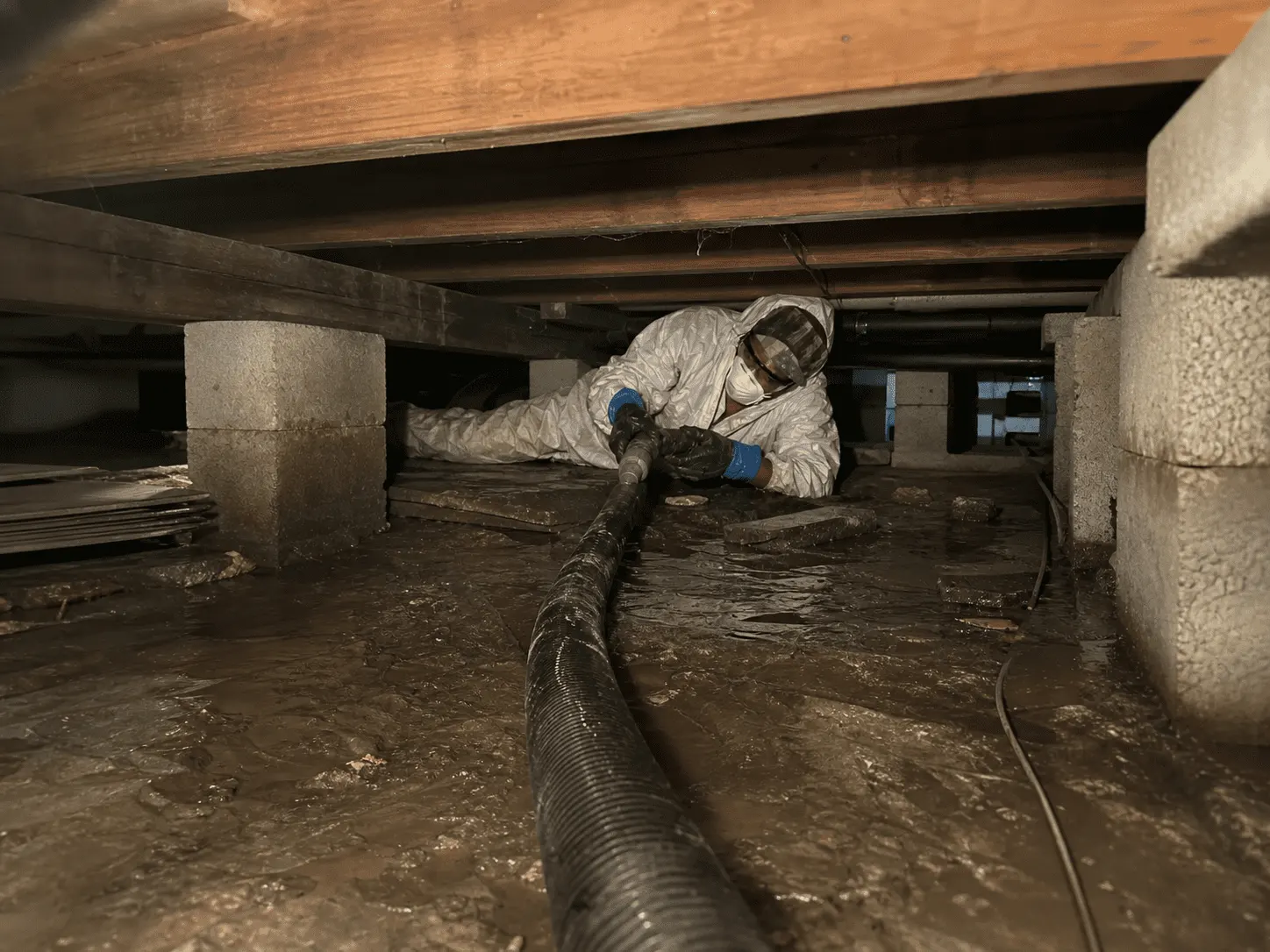 Crawl Space water damage — Attic Star Bay Area