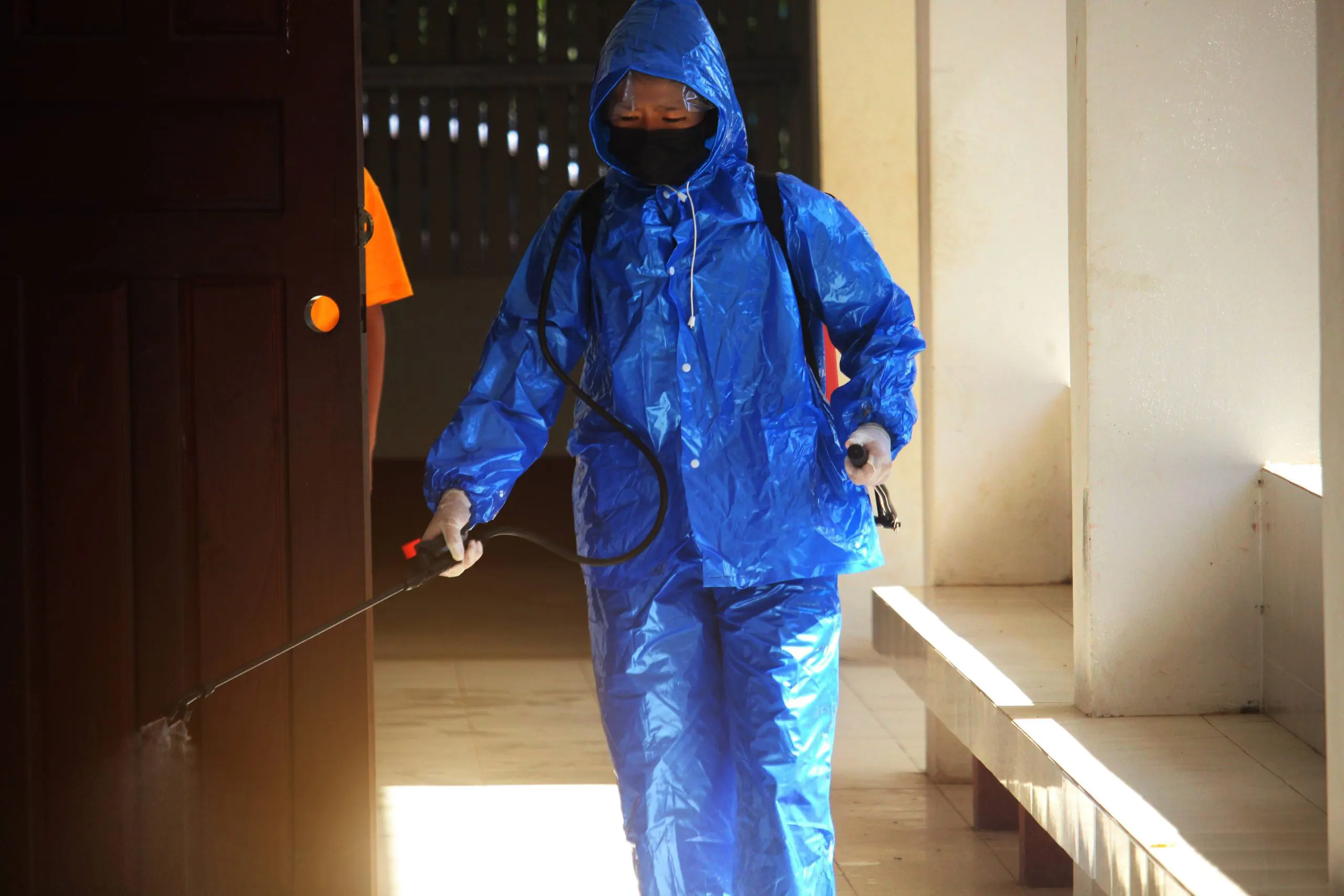 Rodent Exterminator — Attic Star Bay Area
